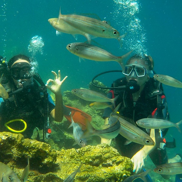 Scuba diving Fethiye